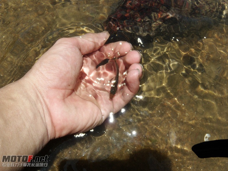 DSCN5415.jpg