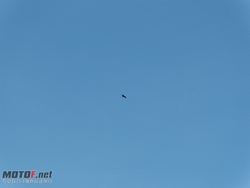 DSCN5456.jpg