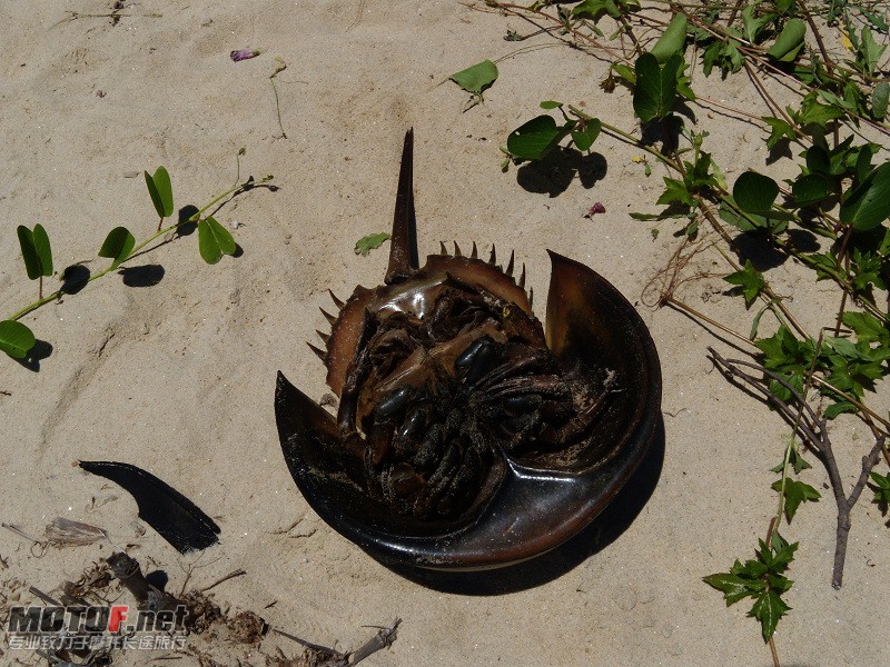 DSCN5388.jpg