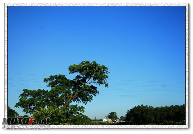 IMG_0847b.jpg