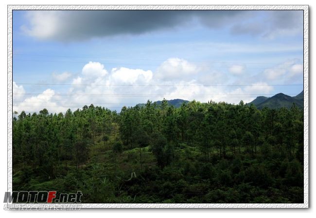 IMG_0824b.jpg