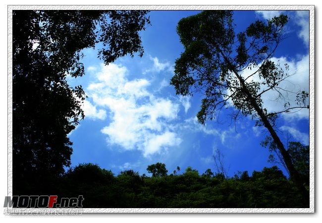 IMG_0943b.jpg