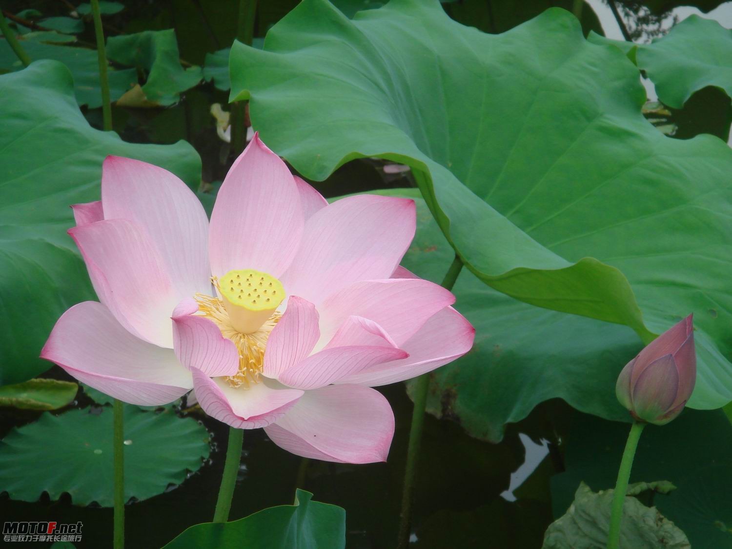调整大小 DSC04778.JPG