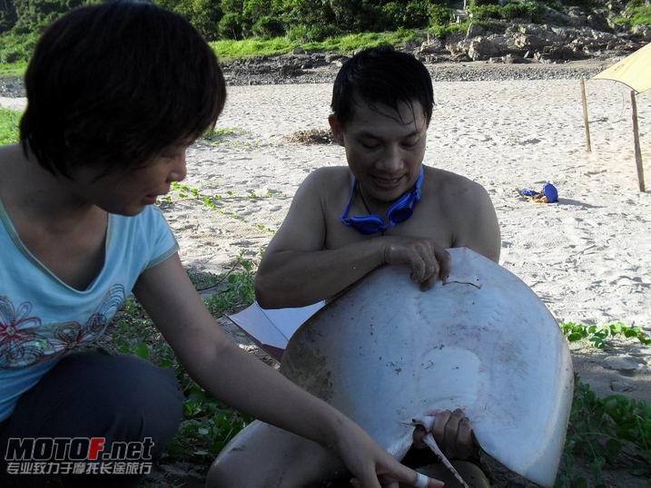 SDC13238.jpg