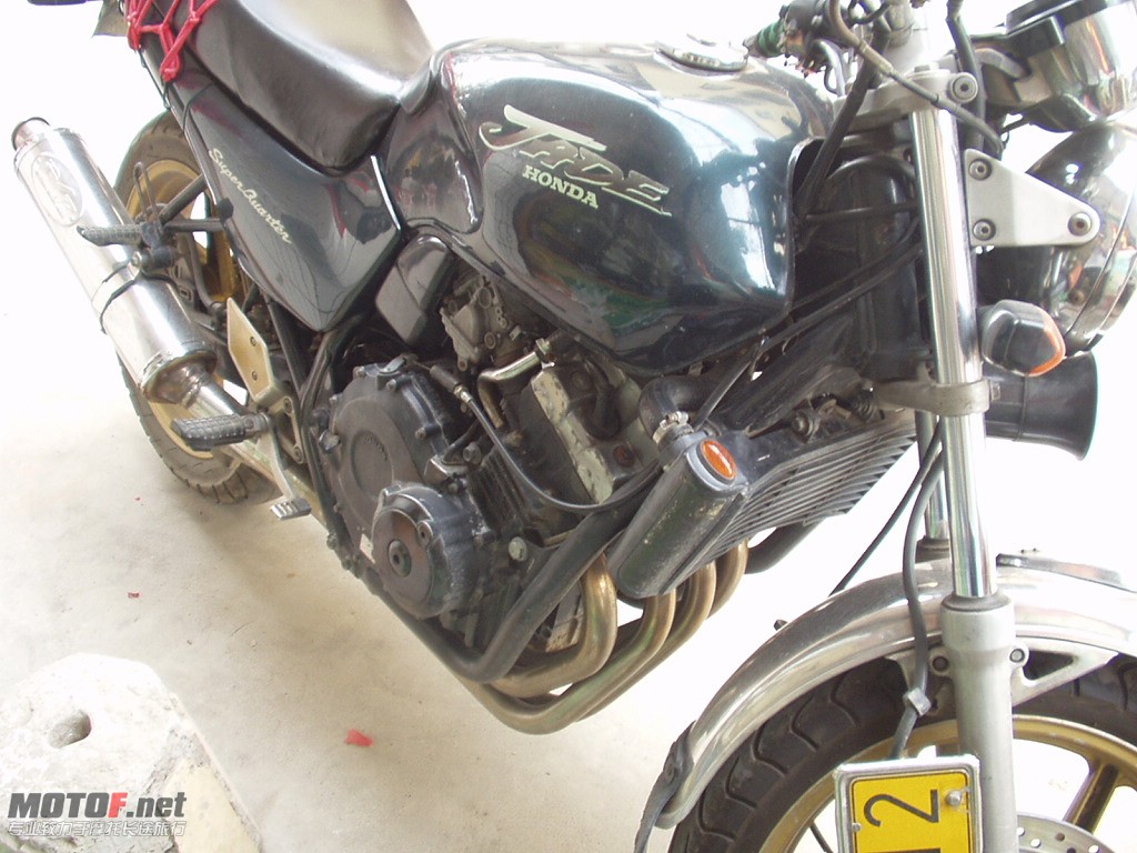 P1010107.JPG