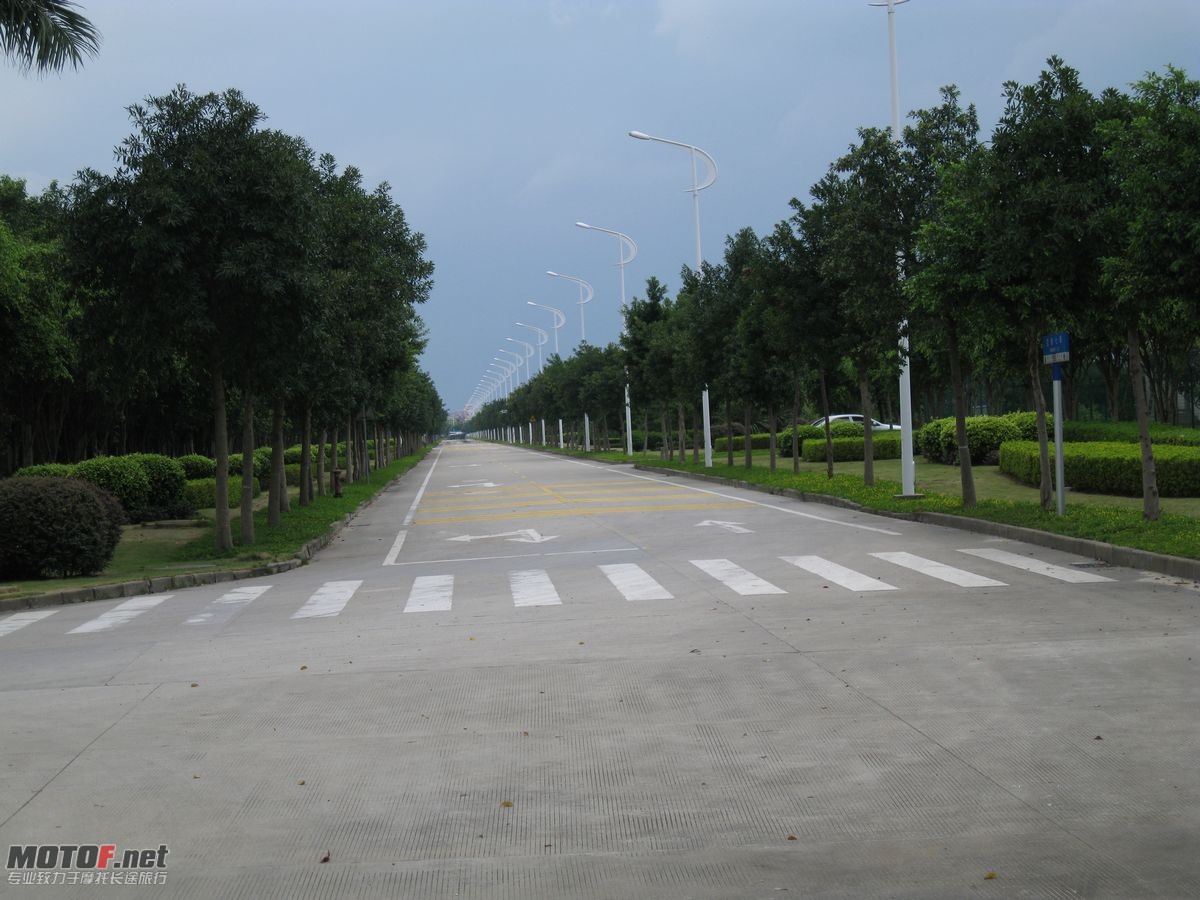 010.jpg
