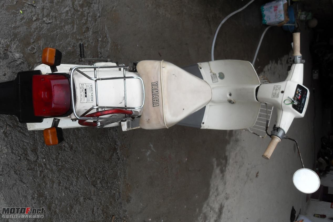 SDC11408.JPG