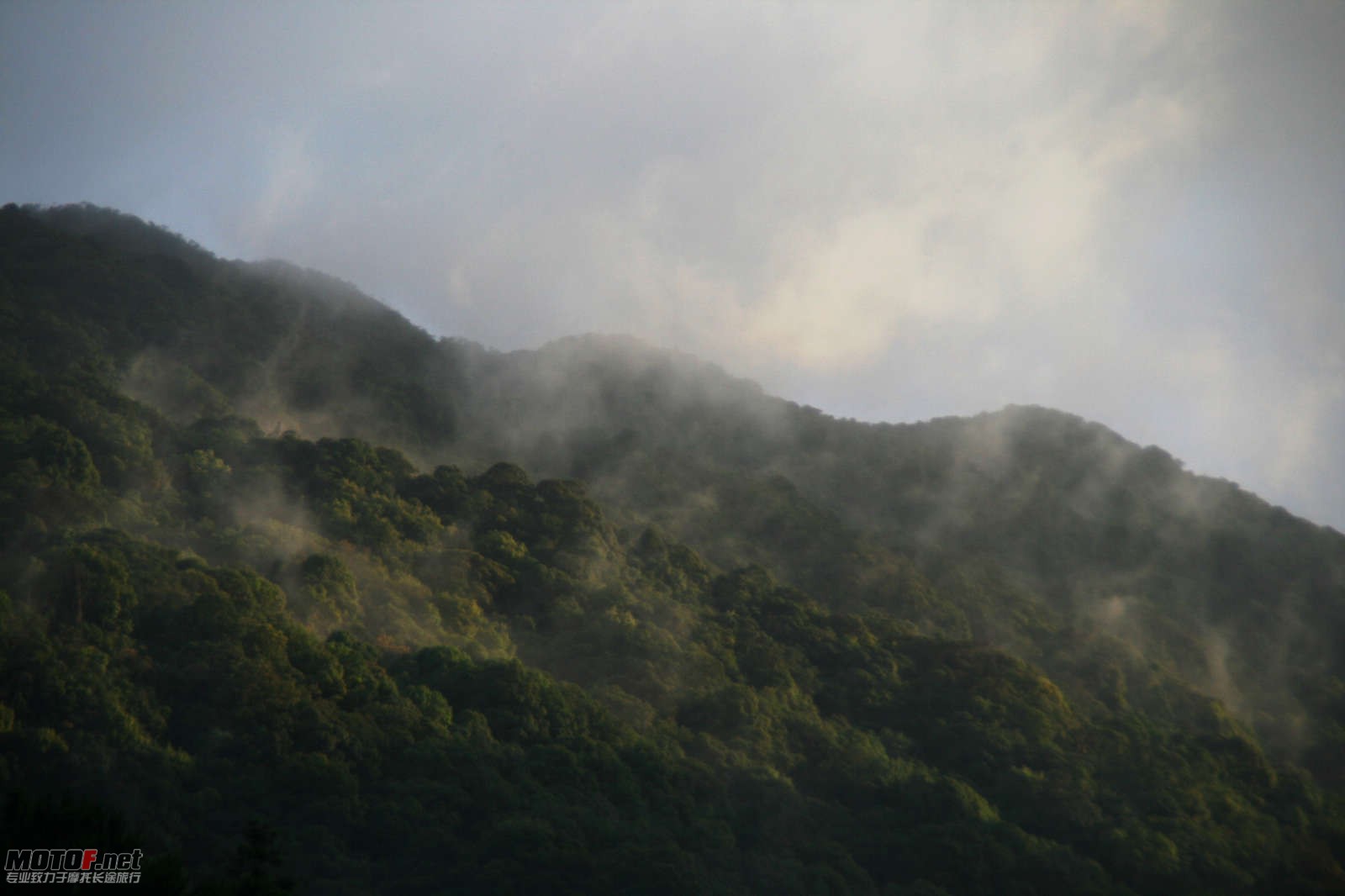 IMG_4465.jpg