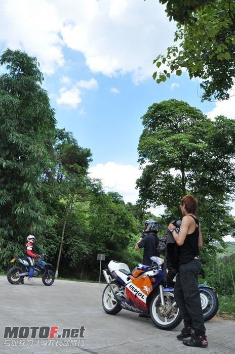 P1.jpg