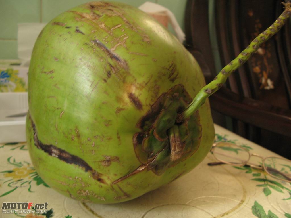 L 09.JPG