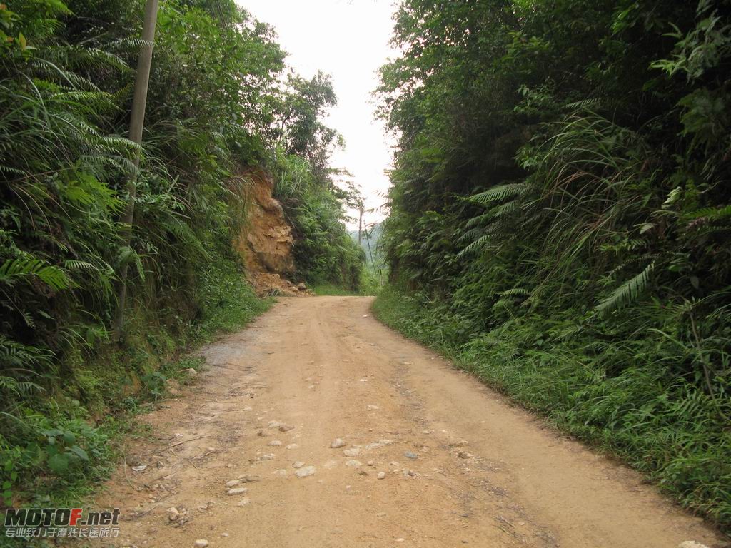 L 20.JPG