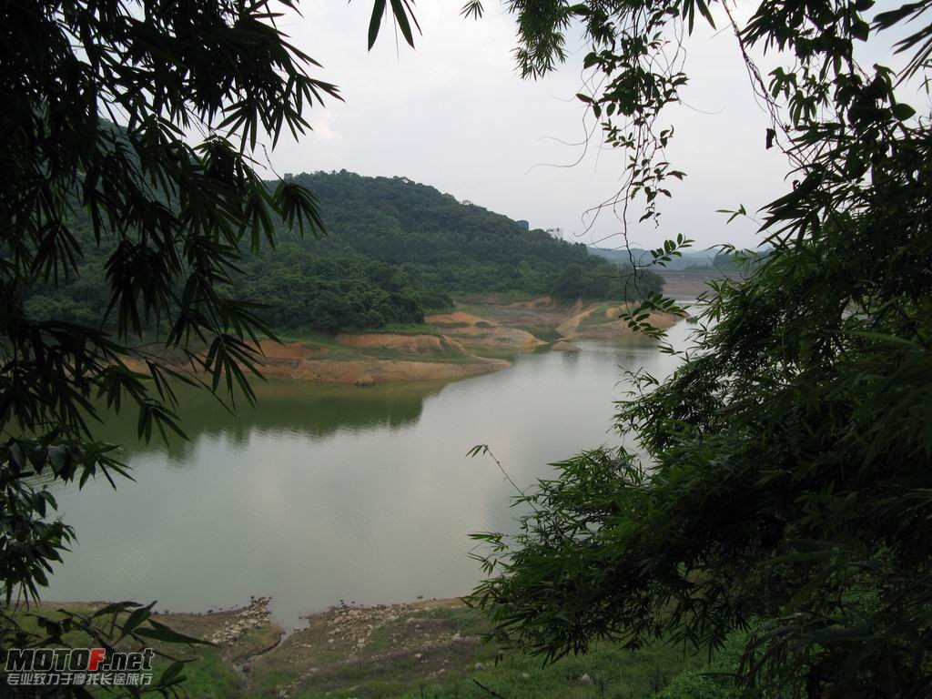 L 24.JPG