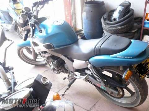 海豚250