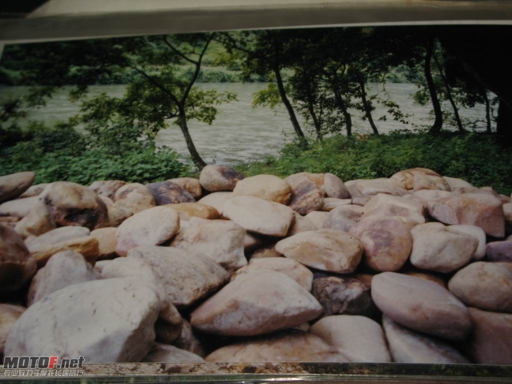 107.JPG