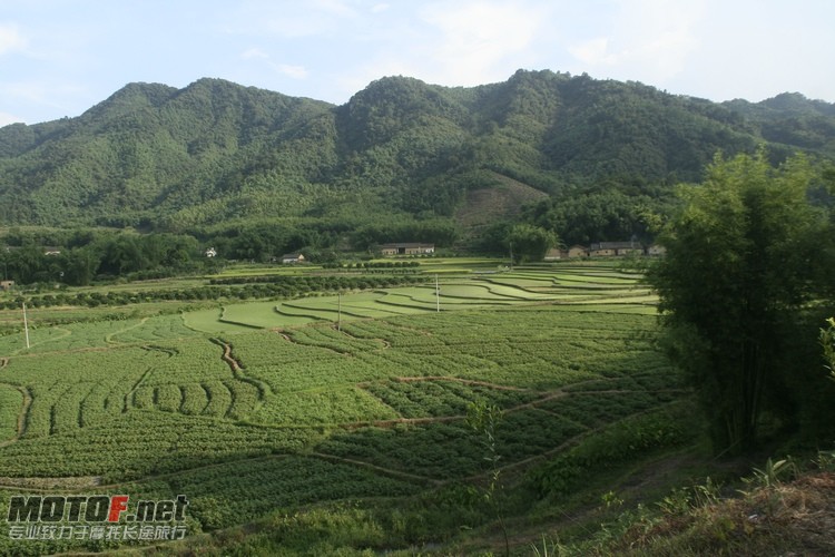 _MG_1084.JPG
