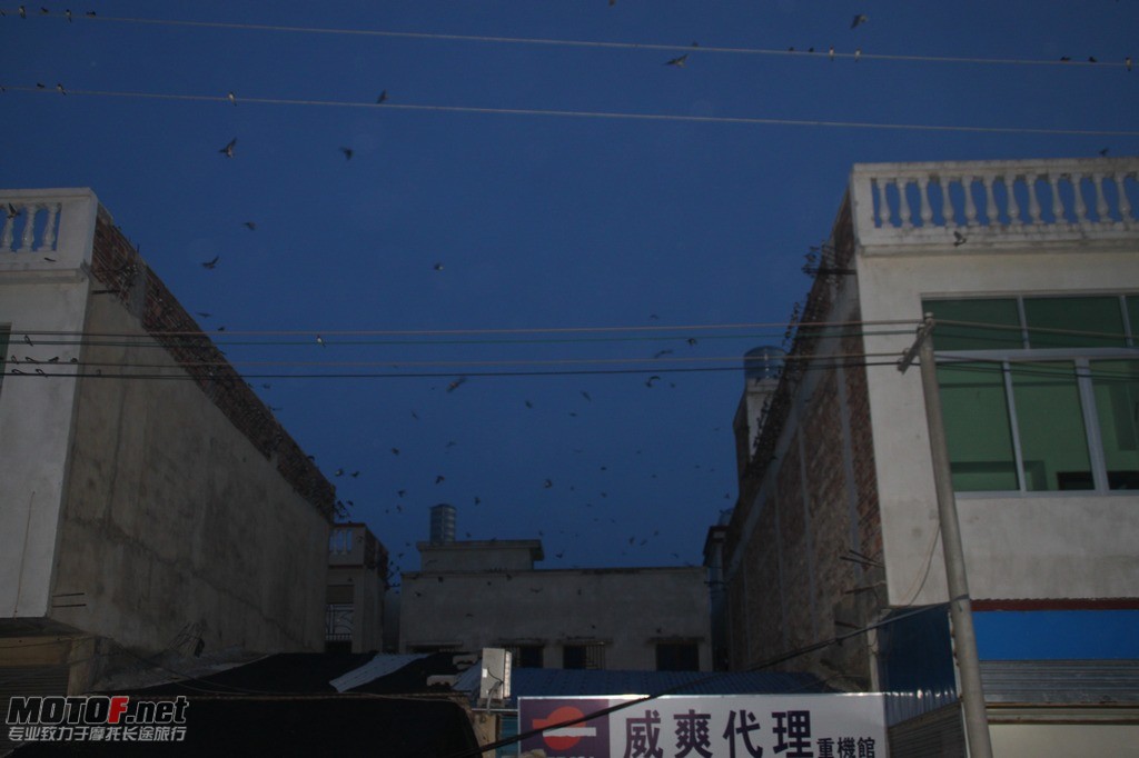 nEO_IMG_IMG_7781.jpg