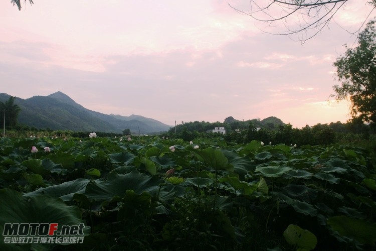 _MG_1121.JPG