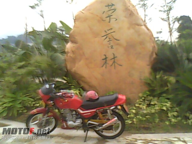 IMG0245A.jpg