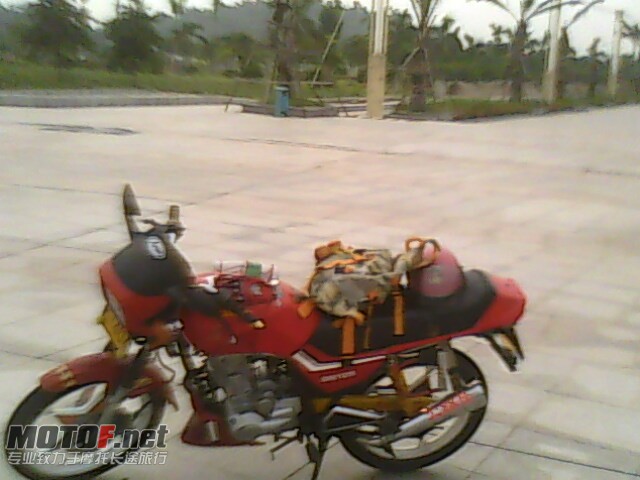IMG0273A.jpg