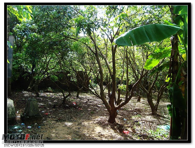 nEO_IMG_DSC03863.jpg