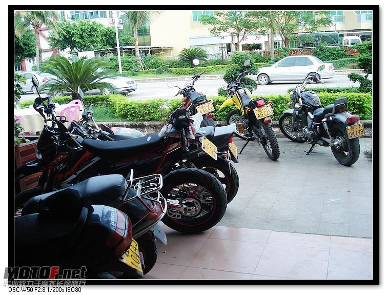 nEO_IMG_DSC00659.jpg
