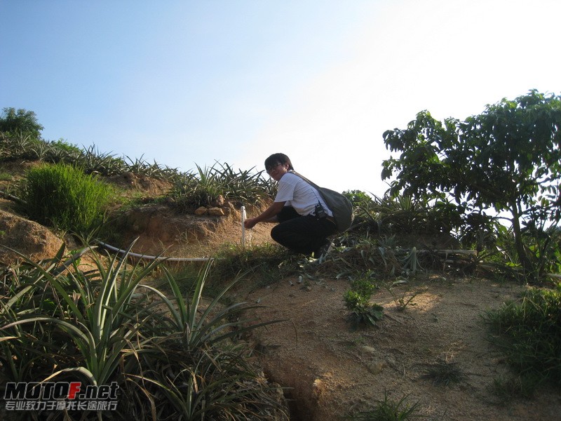 IMG_3741_调整大小.JPG