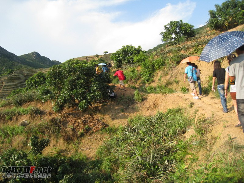 IMG_3736_调整大小.JPG