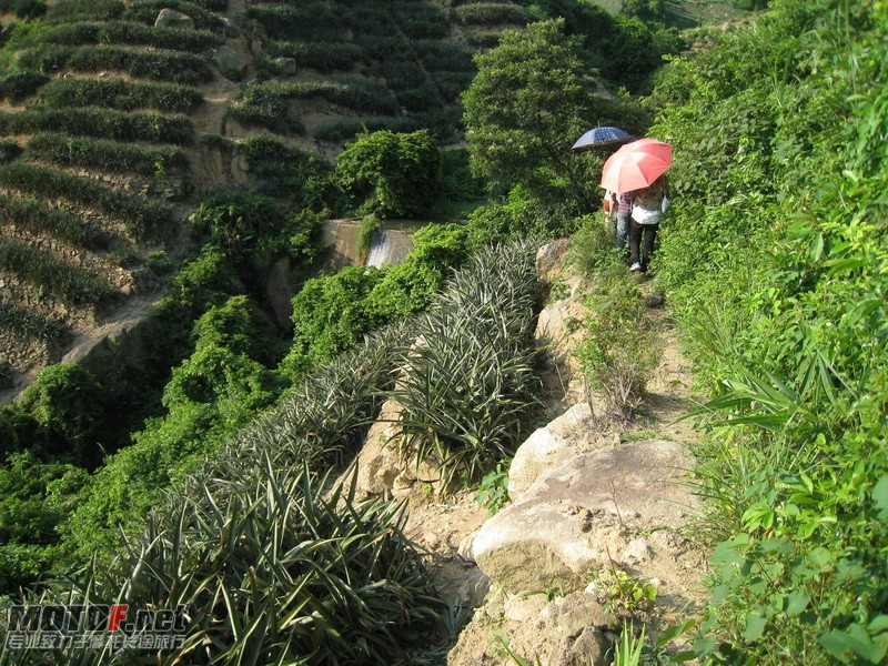 IMG_3750_调整大小.JPG