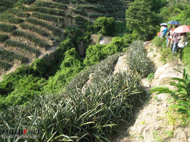 IMG_3749_调整大小.JPG