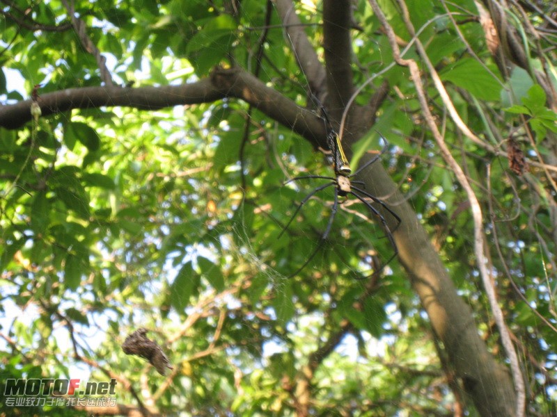IMG_3766_调整大小.JPG