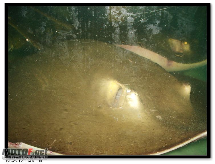 nEO_IMG_DSC00763.jpg
