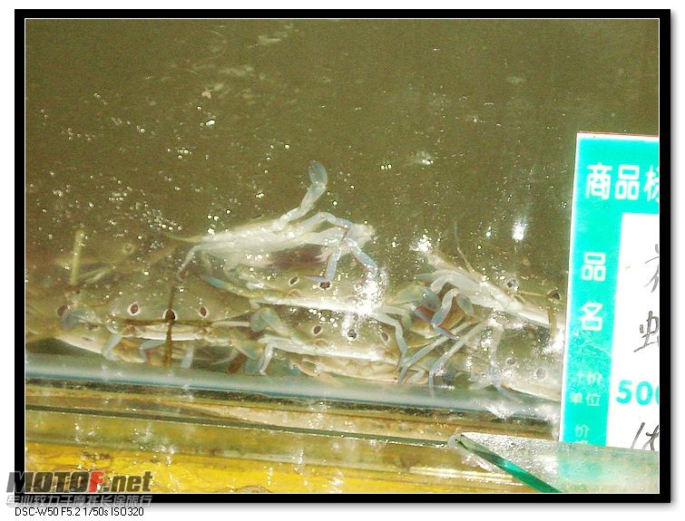 nEO_IMG_DSC00762.jpg