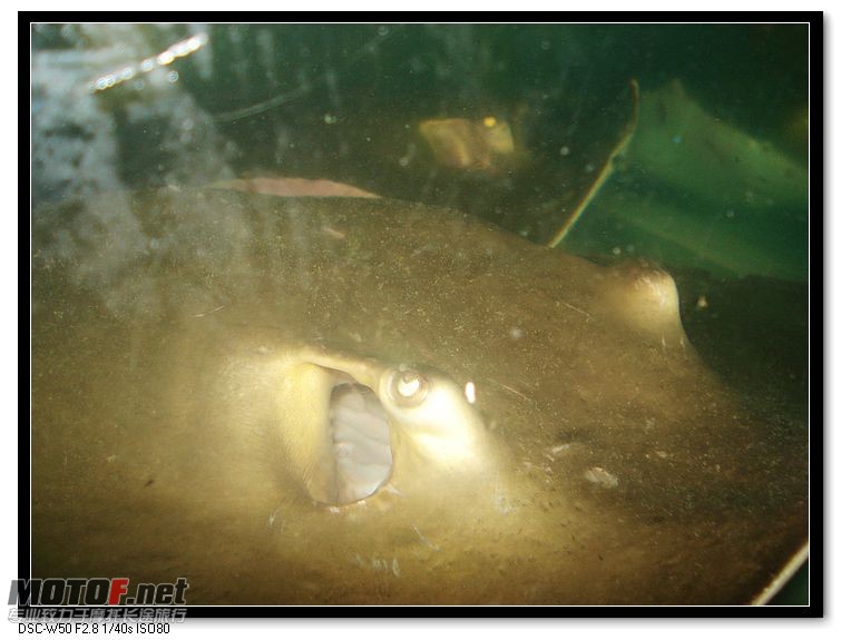 nEO_IMG_DSC00764.jpg