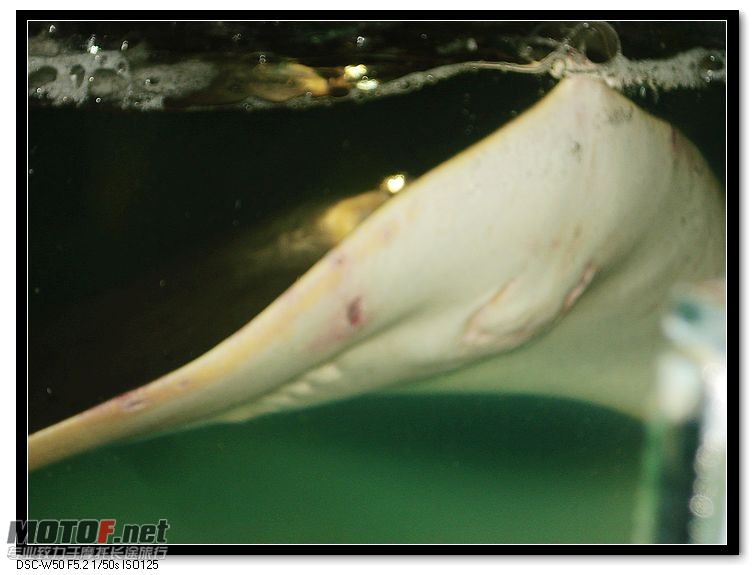 nEO_IMG_DSC00757.jpg