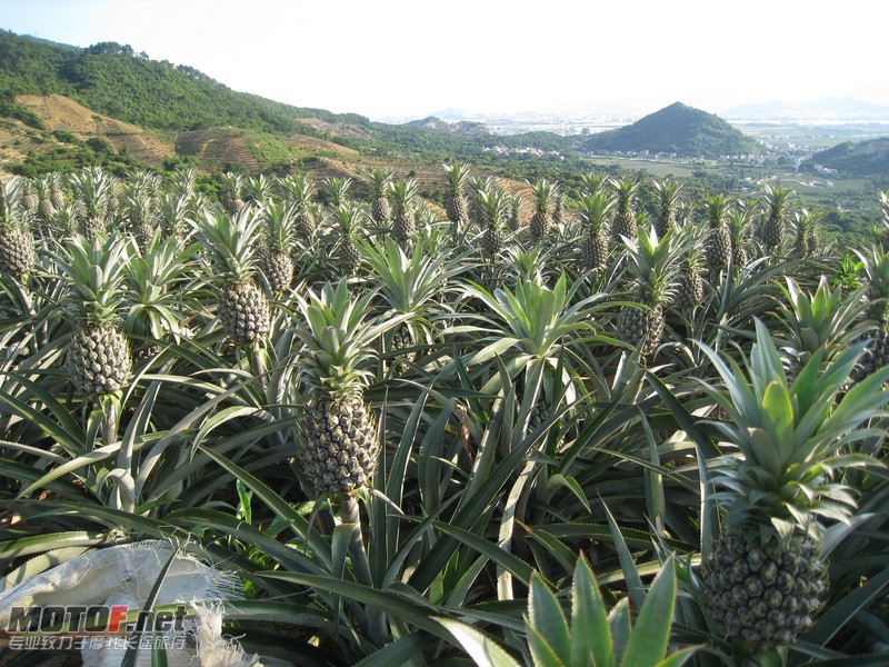 IMG_3797_调整大小.JPG