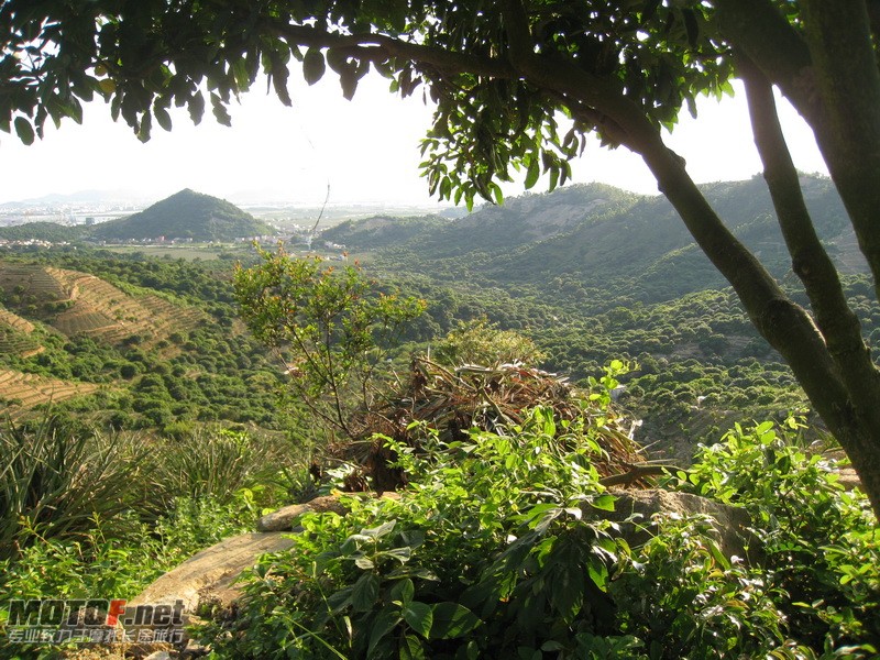 IMG_3796_调整大小.JPG