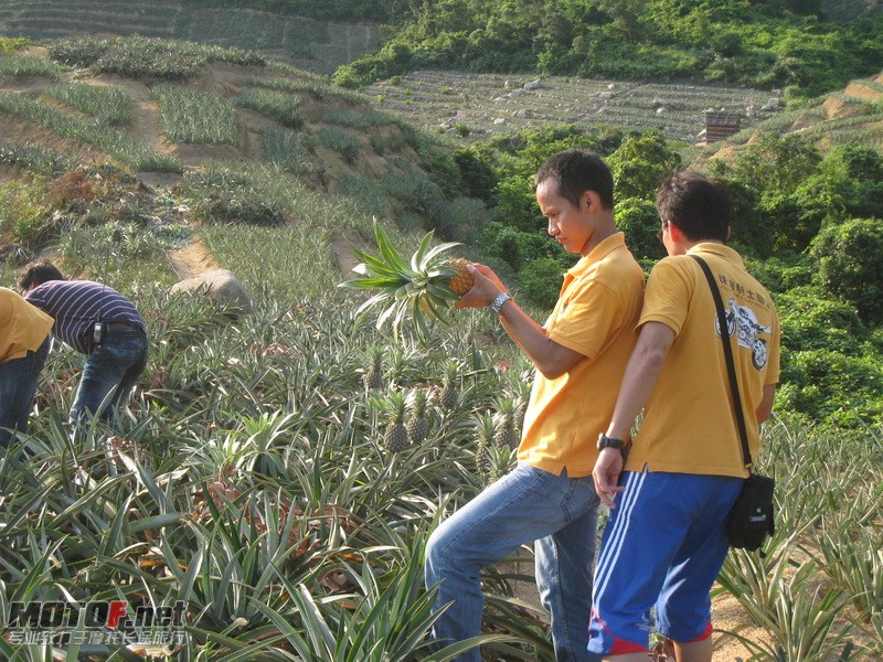 IMG_3817_调整大小.JPG