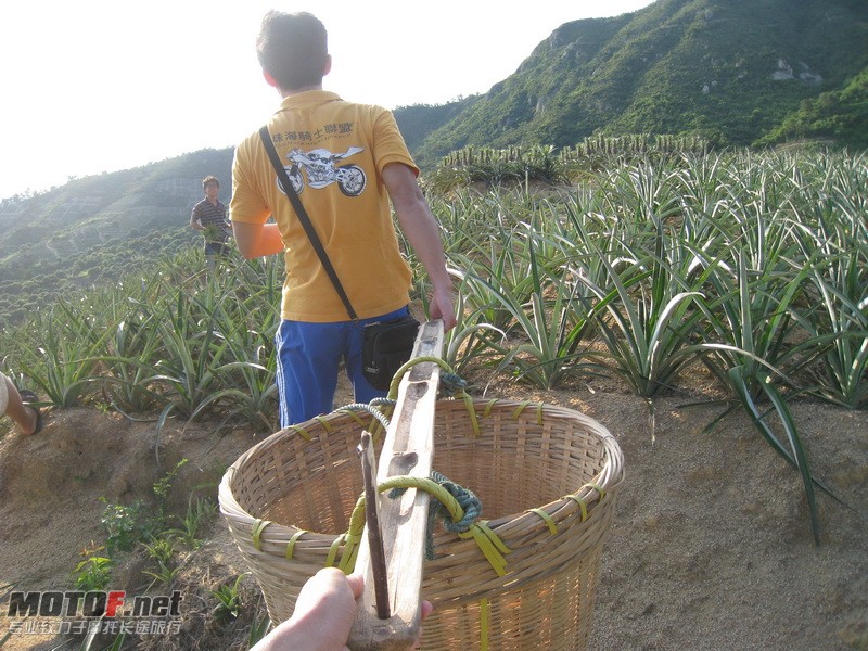 IMG_3803_调整大小.JPG