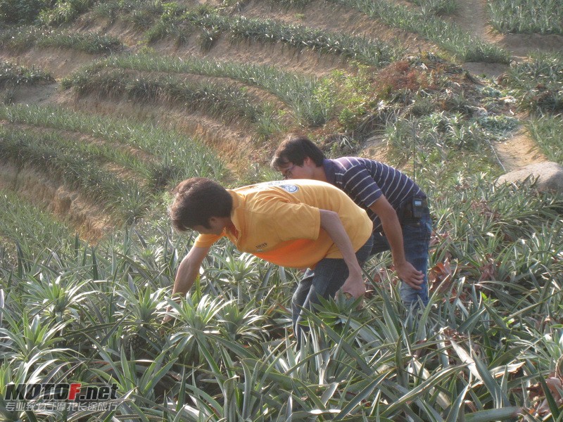 IMG_3819_调整大小.JPG