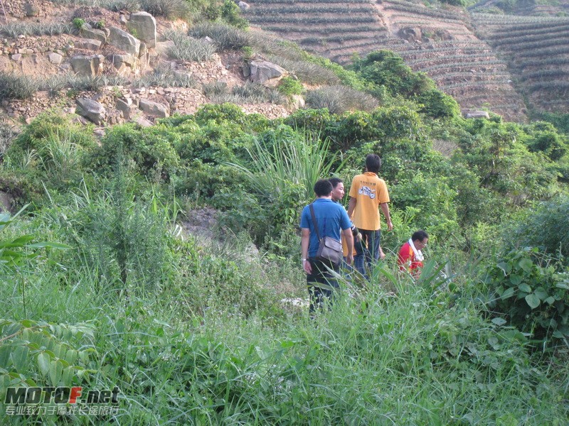 IMG_3863_调整大小.JPG