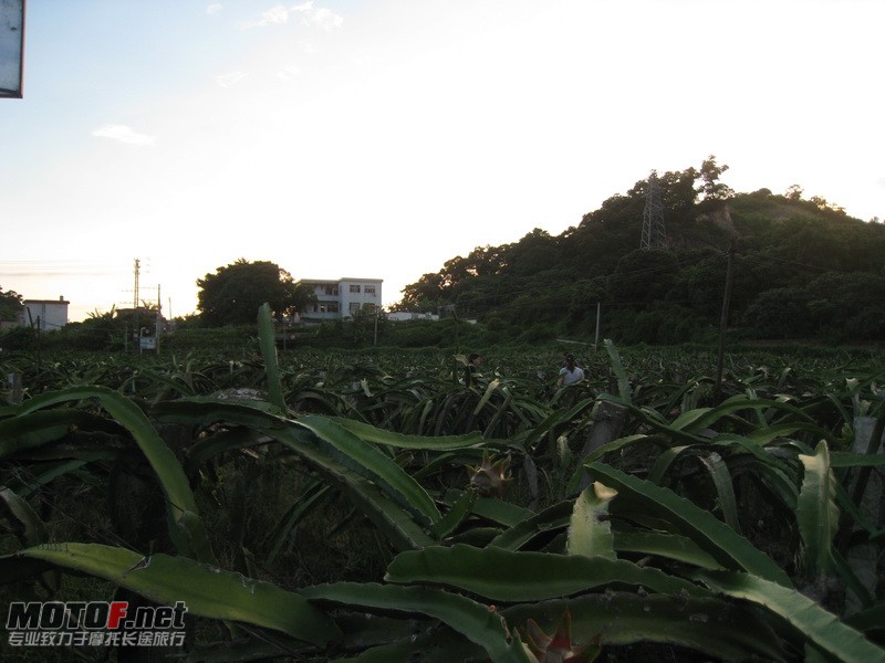 IMG_3892_调整大小.JPG