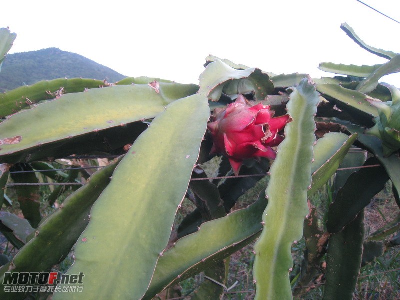 IMG_3877_调整大小.JPG
