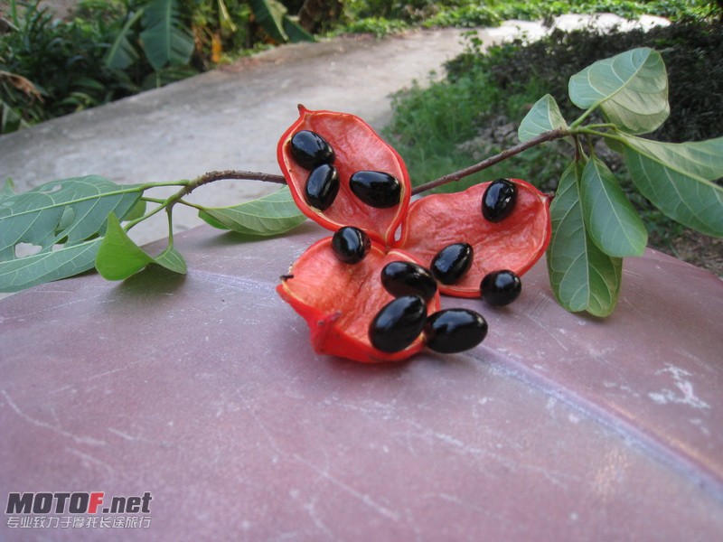 IMG_3874_调整大小.JPG