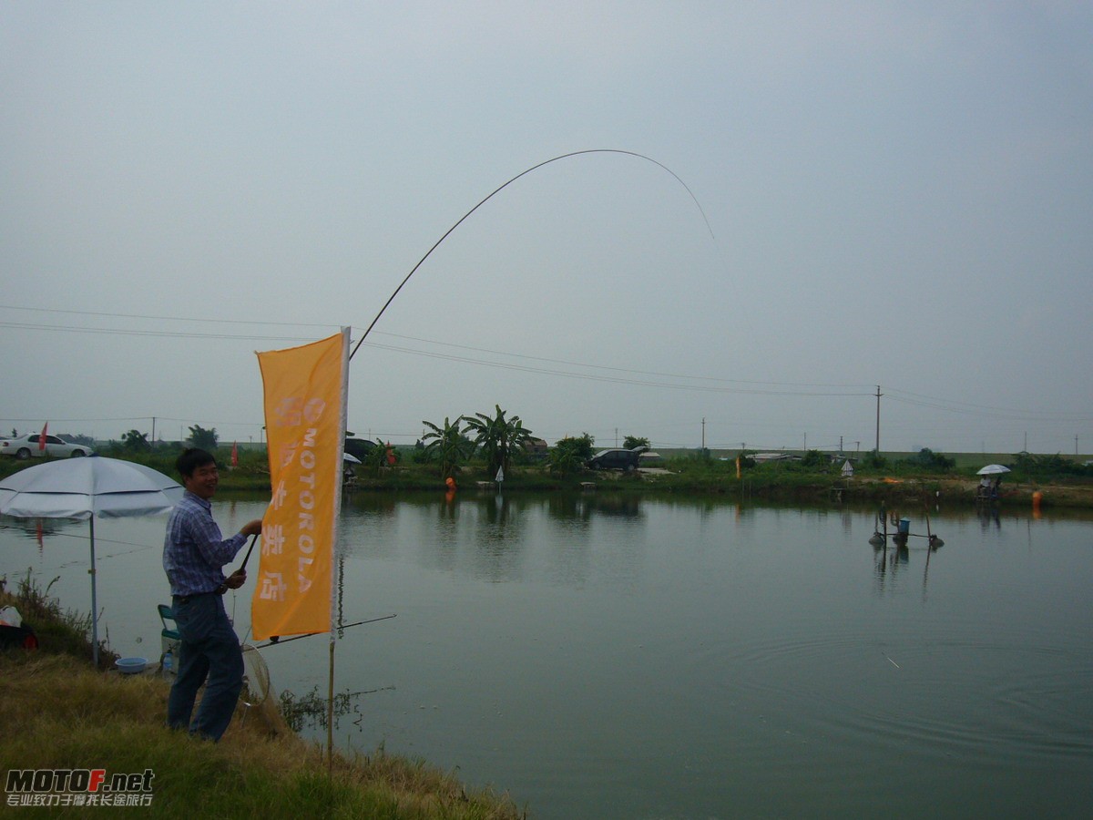 P1150258.jpg