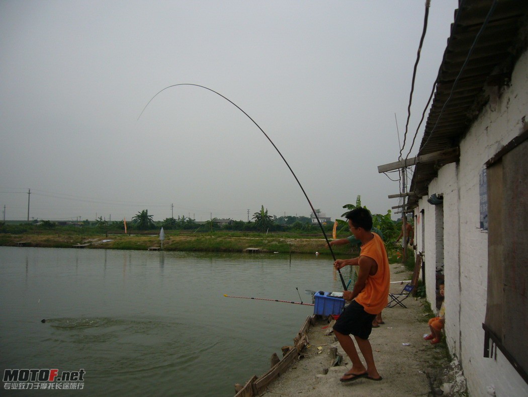 P1150288.jpg
