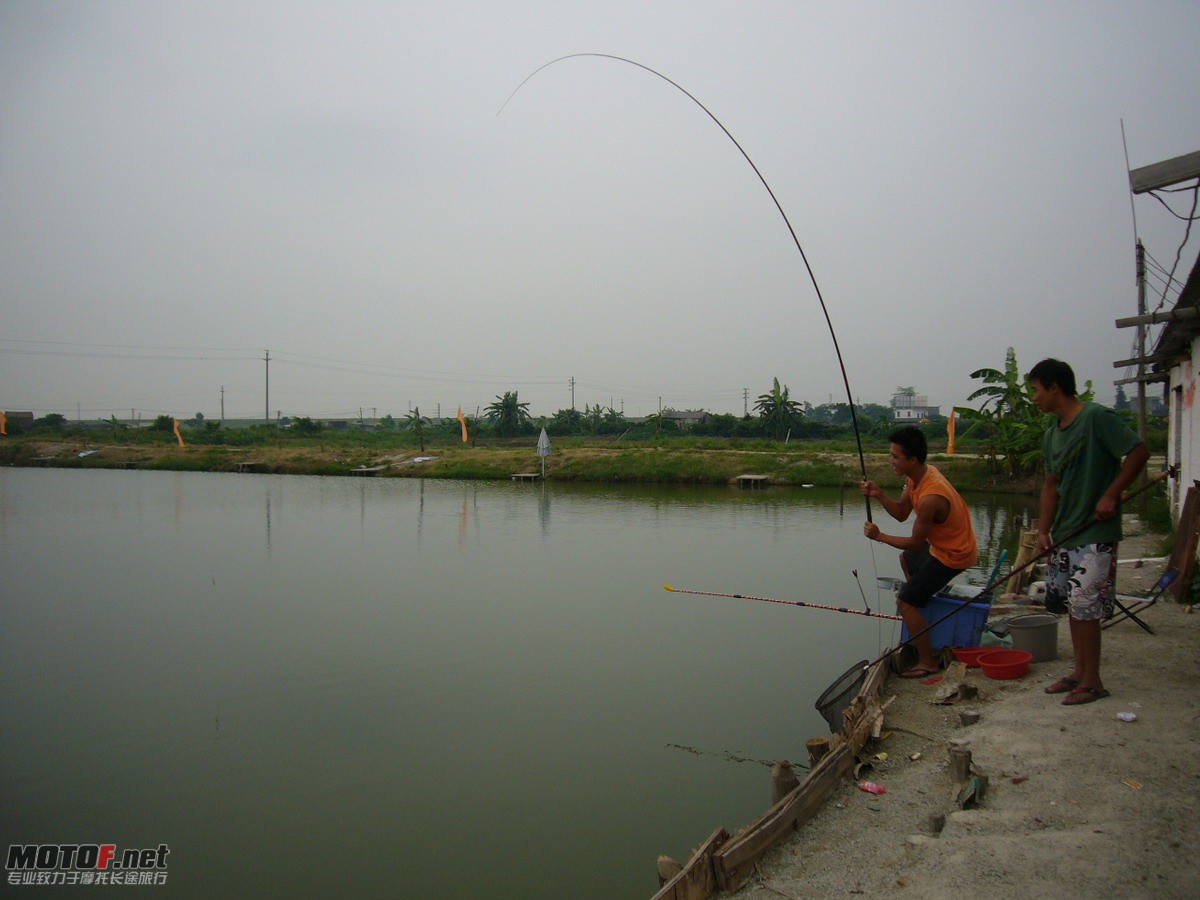 P1150269.jpg