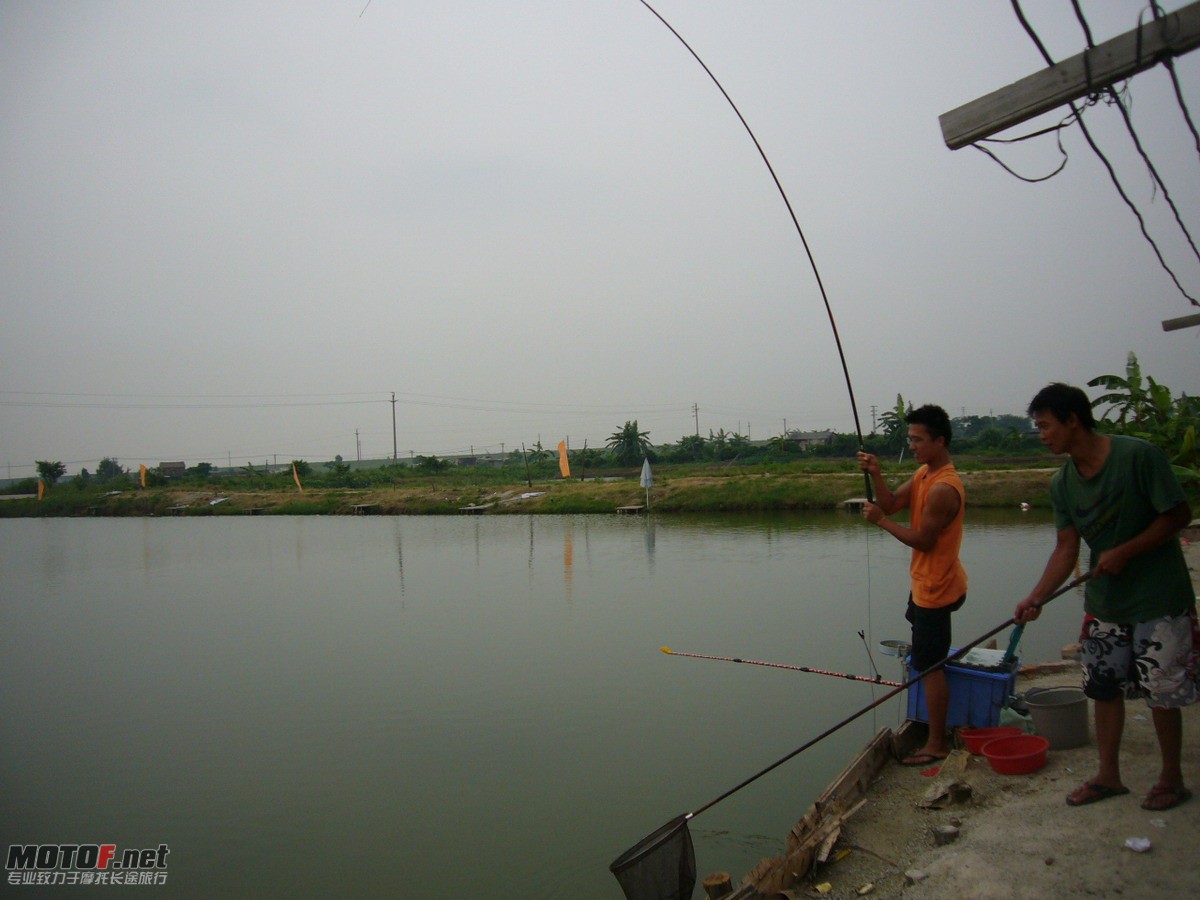 P1150268.jpg