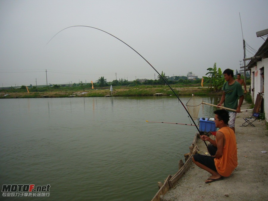 P1150289.jpg