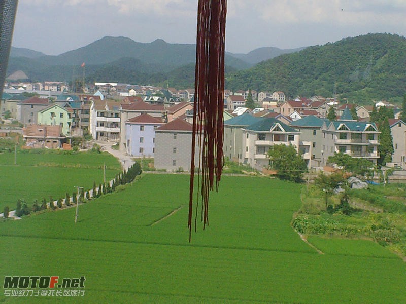 20100722009.jpg