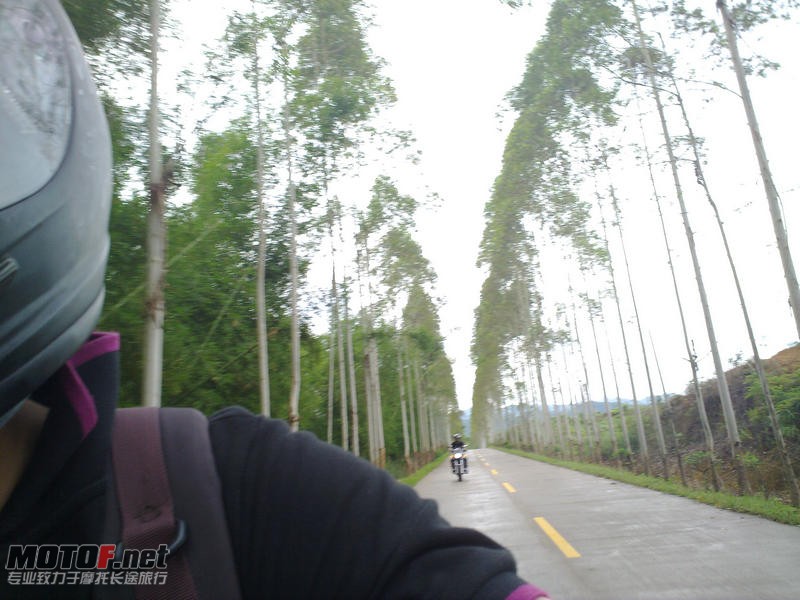 20100723021.jpg